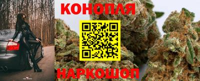 спайс Коммунар